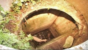 Hasiči celú noc zachraňovali neposlušné kozľa