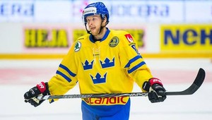 VIDEO. Neskutočný nájazd švédskeho útočníka proti Česku!