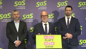 0 % daň pre firmy? SaS navrhuje zaviesť takzvaný estónsky model