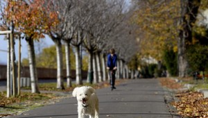 Prvé hmly, slabý vietor a príjemné teploty. Počasie na zvyšok týždňa vyzerá sľubne