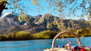 Dovolenka – odkedy sme na ňu začali chodiť