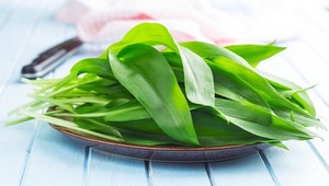 Sezóna medvedieho cesnaku je v plnom prúde: Pripravte si z neho nátierku, pesto či polievku