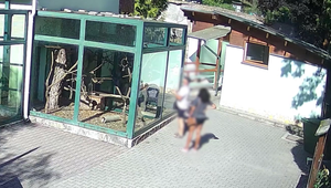 Návštevníci kŕmia zvieratá hotdogmi, langošmi aj pečivom. V ZOO Bojnice zvyšujú kontroly