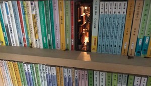 Tento úchvatný a drobný doplnok rozžiari váš príbytok