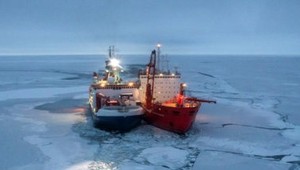 Rok za polárnym kruhom