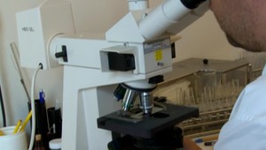 Zo školy v prírode do nemocnice