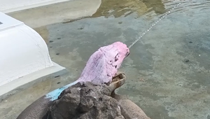 Maloleté deti pomaľovali najstaršiu fontánu v meste