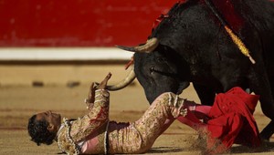 Zomrel známy španielsky toreador, prebodol ho býk počas vystúpenia