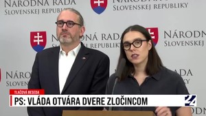 Tlačová beseda Progresívneho Slovenska: Vláda otvára dvere zločincom