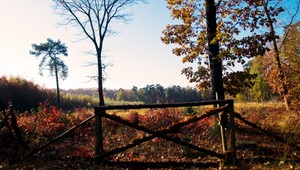 Slovensko čaká studený a slnečný utorok