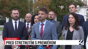 Pred stretnutím s premiérom