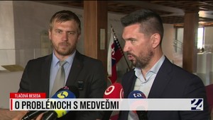 Smer-SSD o situácii s medveďmi