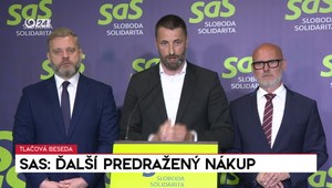 Tlačová beseda SaS: Ďalší predražený nákup