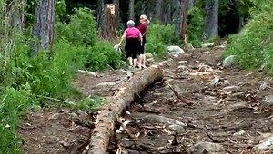 Cesta zo Štrbského na Popradské pleso pripomína rúbanisko