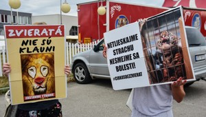 FOTO: V Novom meste nad Váhom protestujú ľudia proti cirkusu