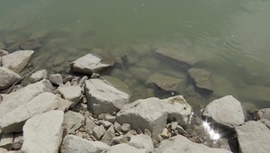 Policajti sa okúpali v Dunaji. Hľadali muža, ktorý stratil orientáciu a vošiel tam omylom