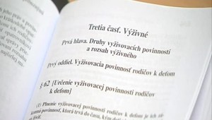 Vymáhanie výživného bude pre rodiča jednoduchšie. Pomoci by sa mohli dočkať aj osamelé matky