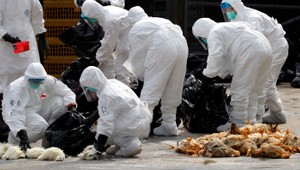 Slovenský chovateľ: Každý večer sa modlíme, aby ukončili karanténu