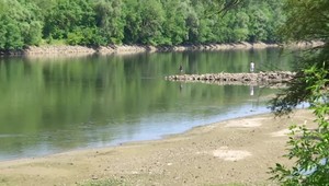 Sucho a horúčavy ovplyvňujú aj výšku hladín slovenských riek. V niektorých oblastiach uhynulo množstvo rýb