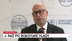 Tlačová beseda ministra Ráža po rokovaní vlády