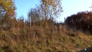 VIDEO: V Ilave zachraňovali diviaka. Celú noc bol zakliesnený v plote