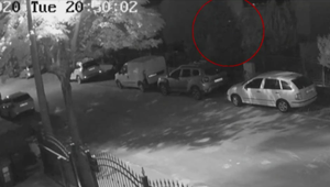 Sučka kaukazského ovčiaka ušla smrti doslova o vlások. Majiteľ si všimol predmet, ktorý mu preletel od susedov