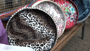 Školský projekt, ktorý zahreje: V útulku dostali nové recyklované pelechy a maškrty