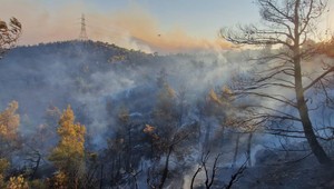 Slovenskí hasiči v Grécku: Prácu im komplikuje silný vietor a vysoké horúčavy