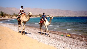 Kedysi vychytená, dnes tabu. To je egyptská Taba