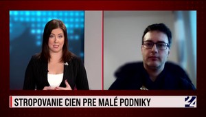 V Štúdiu JOJ 24 analytik o tom, ako vidí stropovanie cien pre malé podniky
