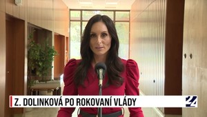 Tlačová beseda Zuzany Dolinkovej po rokovaní vlády