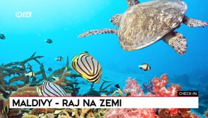 Check-in: Maldivy ako raj na zemi