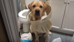 Najvtipnejšie video internetu! Títo chlpáči vedia ako ututlať každú vylomeninu