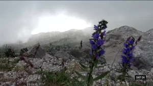 Svet 24 o sporoch rybárov a veľrýb, ako aj o inom druhu dovolenky v Chorvátsku