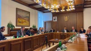 Správa o činnosti politických strán: Bývalá Procházkova strana #Sieť pre neplnenie povinností zanikne