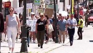 Problém s medveďmi pod Poľanou: Ochranári, lesníci a poľovníci hľadajú riešenie