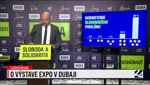 Tlačová beseda SaS k dubajskému Expo