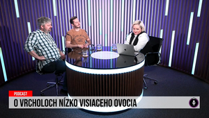 Tajomstvo za závesom a Hegerova hlava v piesku