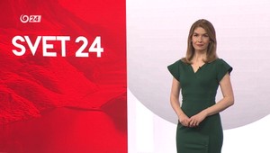 Svet 24 o živote tučniakov a záhadnom delfínovi