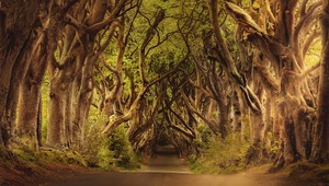 Zem doslova dýchala pred očami turistov: Vedci vysvetľujú, čo sa deje