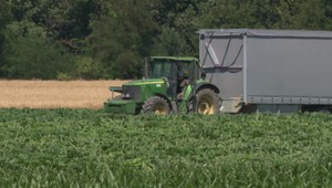 Extrémne sucho ničí slovenskú úrodu. Pôda je bez vlahy, teploty vystrelia až na 37°C