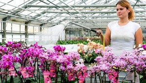 Našim študentom nevonia hocaká brigáda, sú prieberčiví