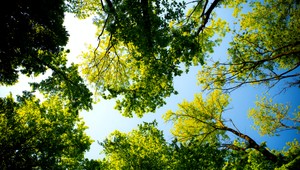 Máme za sebou letný deň. Čaká nás aj DNES?