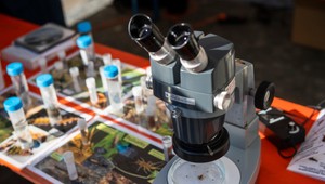 Najmenej 11 žiakov utrpelo zranenia po neúspešnom pokuse na hodine chémie