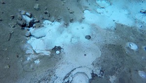 VIDEO: Najtajomnejšie pleso je určite Zelené. Spájajú sa s ním povesti a svoje tajomstvá má aj chata na jeho brehu