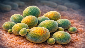 Znepokojení vedci: Svetom sa začína šíriť superbaktéria, antibiotiká nefungujú