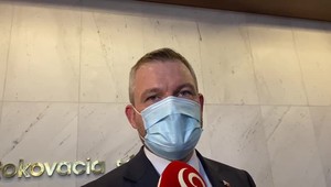 Kontrola Najvyššieho kontrolného úradu ukázala, že podpora športu za vlády Pellegriniho bola netransparentná