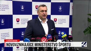 Tlačová beseda k novovzniknutému ministerstvu športu