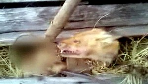 Muž z Ukrajiny zabil legendárneho mýtického netvora