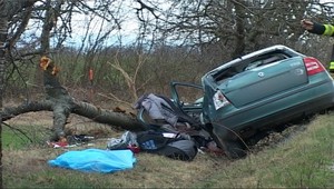 Konár prerazil auto a zabil vodiča!